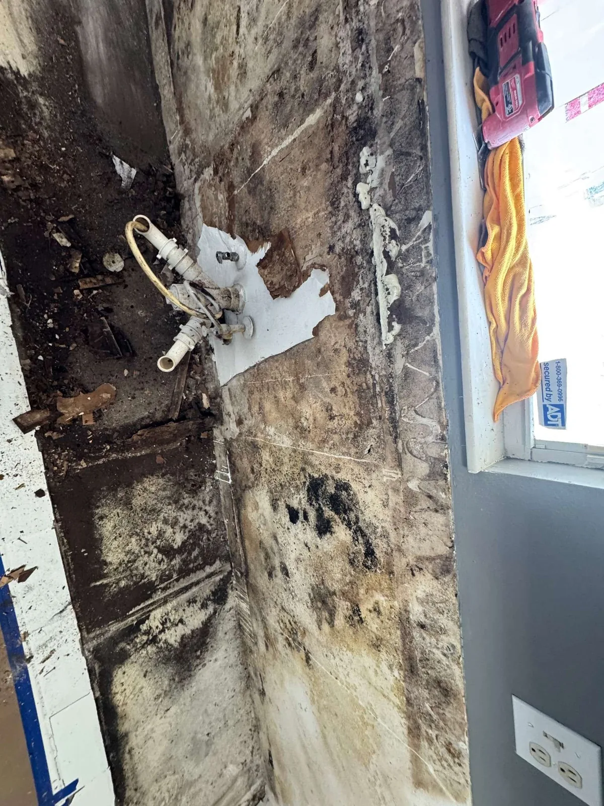 Water damage and mold found behind the old cabinets during a Tampa property rehabilitation
