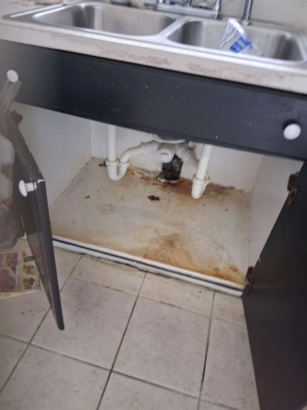 A grimy, water-stained under-sink cabinet base with worn plumbing before the rebuild